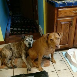 Meet your Posher, Keith